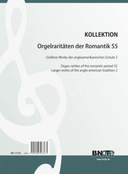 Organ rarities of the romantic period 55: Larger works of the anglo american tradition 2 