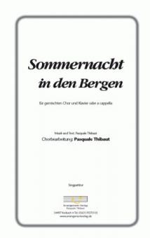 Sommernacht in den Bergen 