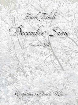 December Snow 