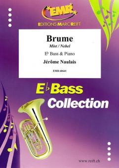 Brume Download