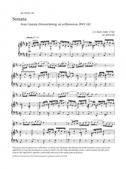 Sonata from Cantata BWV 182 