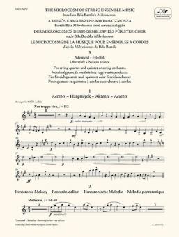The Microcosm of String Ensemble Music 3 