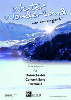 Winter Wonderland 