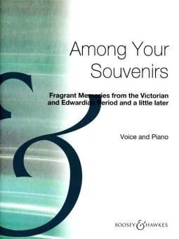 Among Your Souvenirs 