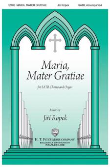 Maria, Mater Gratiae Standard