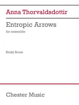 Entropic Arrows 