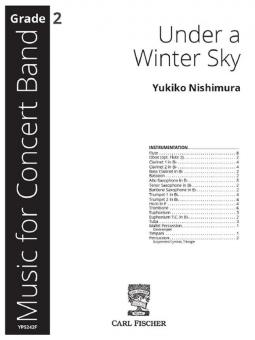 Under a Winter Sky 