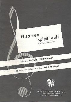 Gitarren spielt auf 