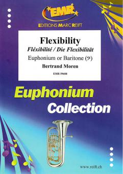 Flexibility Standard