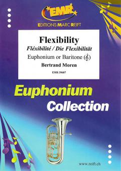 Flexibility Standard