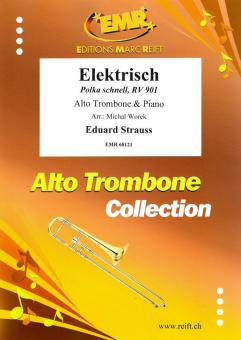 Elektrisch Standard