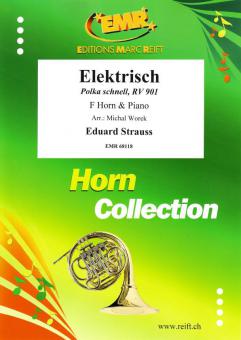 Elektrisch Standard