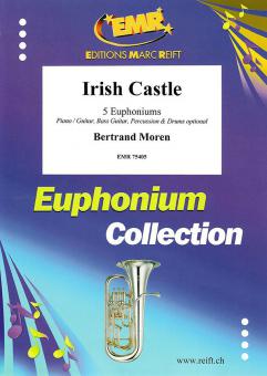 Irish Castle Standard