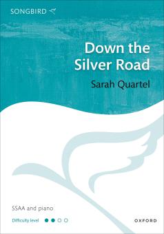 Down the silver road 