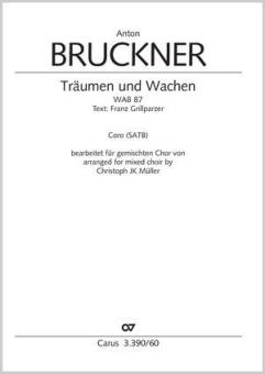 Träumen und Wachen WAB 87 Download