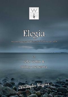 Elegia - 2nd movt. from Concerto for Strings op. 103 Standard