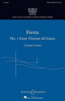 Visiones del Llano 