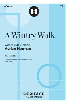 A Wintry Walk 