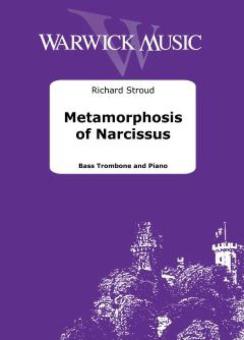Metamorphosis of Narcissus 