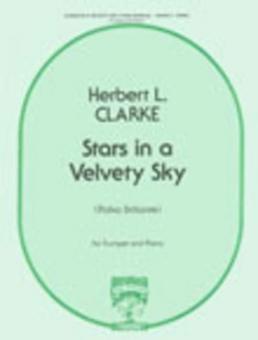 Stars in a Velvety Sky 