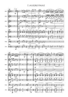 Serenade "A Very Small Night Music" K 648 