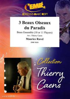 3 Beaux Oiseaux Du Paradis Standard