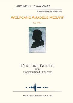 12 small duets 