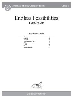 Endless Possibilities 