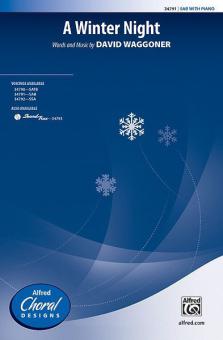 A Winter Night Download