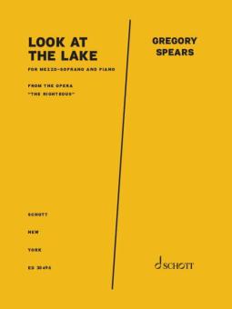 Look at the lake Download