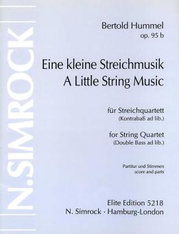 A Little String Music Op. 95B 