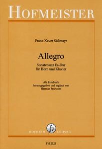 Allegro - Sonatensatz Es-Dur 