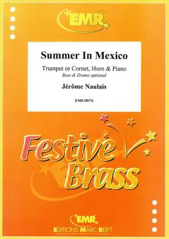Summer In Mexico Download