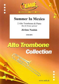 Summer In Mexico Download