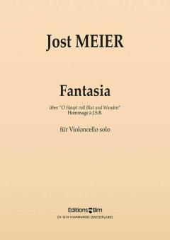 Fantasia on 'O Haupt voll Blut und Wunden'- Hommage à J.S.B. Download