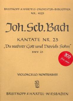Du wahrer Gott und Davids Sohn 