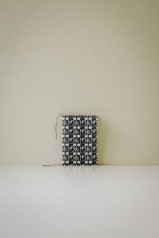 Notebook Hidden Music 