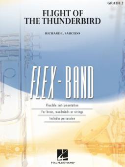 Flight of the Thunderbird 