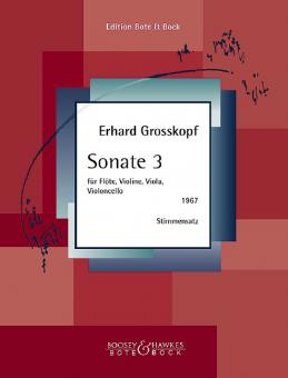 Sonata 3 