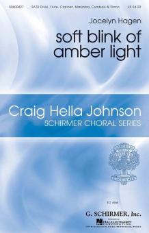 Soft Blink of Amber Light Download