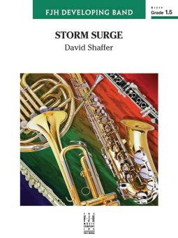 Storm Surge Standard