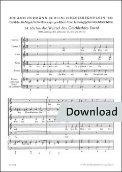 Ich bin die Wurzel des Geschlechtes David Nr. 24 