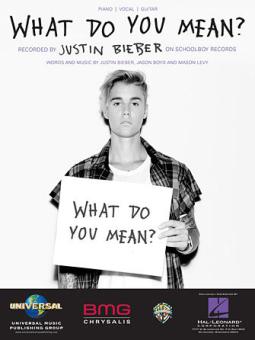 What Do You Mean? 