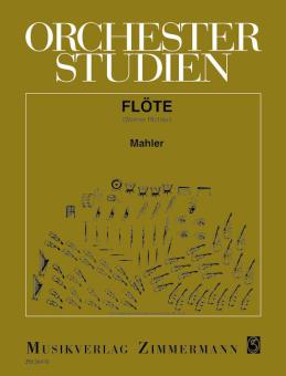 Orchestra Studies 