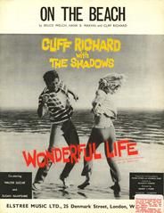On The Beach (from 'Wonderful Life') 