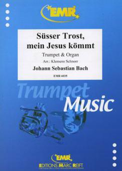 Süsser Trost, mein Jesus kömmt Standard