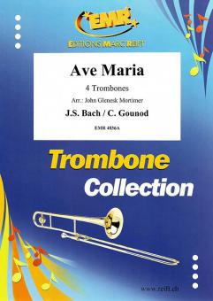 Ave Maria Standard