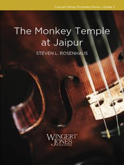 The Monkey Temple at Jaipur Download