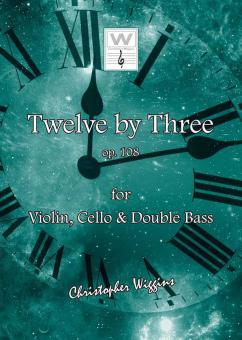 12 By 3 Download