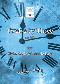 12 By 3 Download